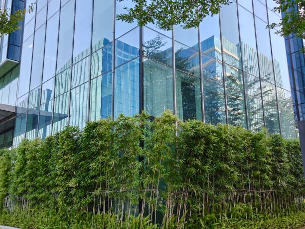 istock Green office building with bamboo walls 2187588770