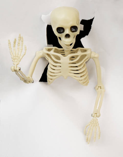 istock Death or human skeleton in white paper hole 2187589921