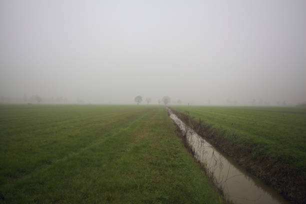 Ditch filled with water between cultivated fields on a foggy day in the italian countryside