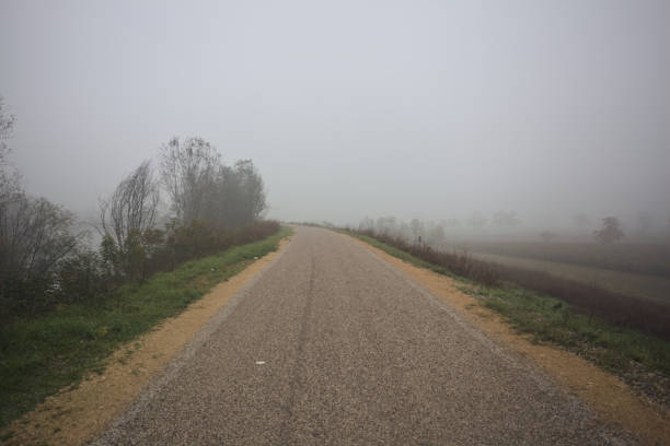 Paved trail on an embankment over fields bordered by trees on a foggy day in the italian countryside