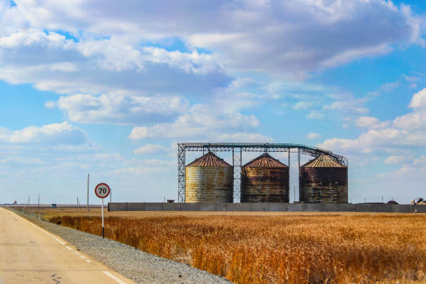 istock Rural grain storage silos along empty road with dry wheat field under blue sky showing agricultural infrastructure 2187595696