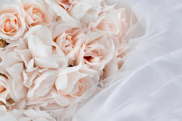 istock photo of white flowers on background 2187596542