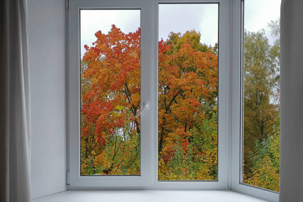 istock View from the window, autumn trees, landscape with forest. 2187598773