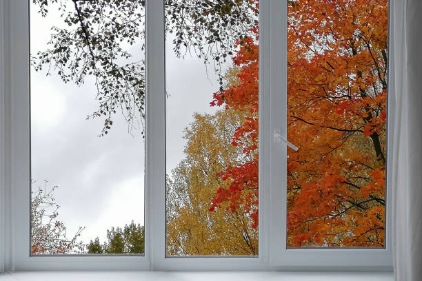 istock View from the window, autumn trees, landscape with forest. 2187598776