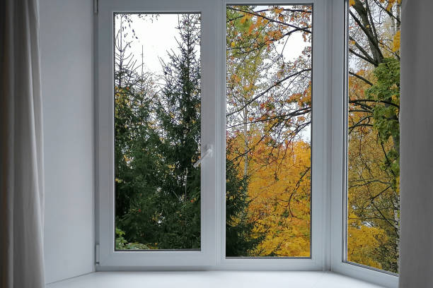 istock View from the window, autumn trees, landscape with forest. 2187598783