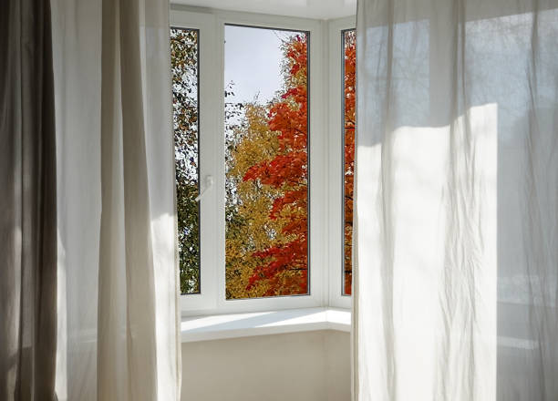 istock View from the window, autumn trees, landscape with forest. 2187598785