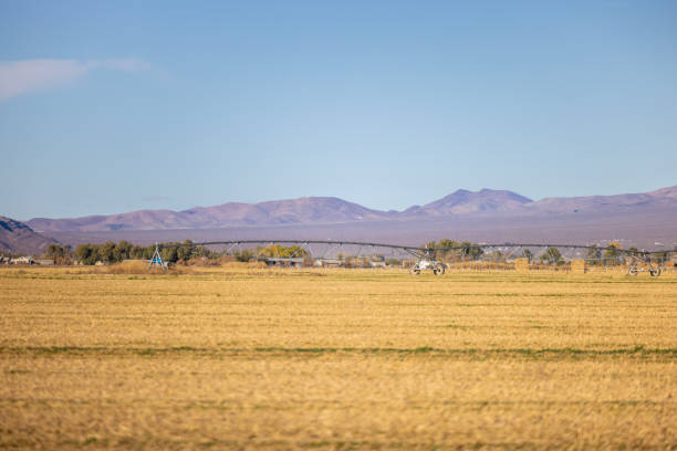 istock Farmland in Rural Nevada 2187608560
