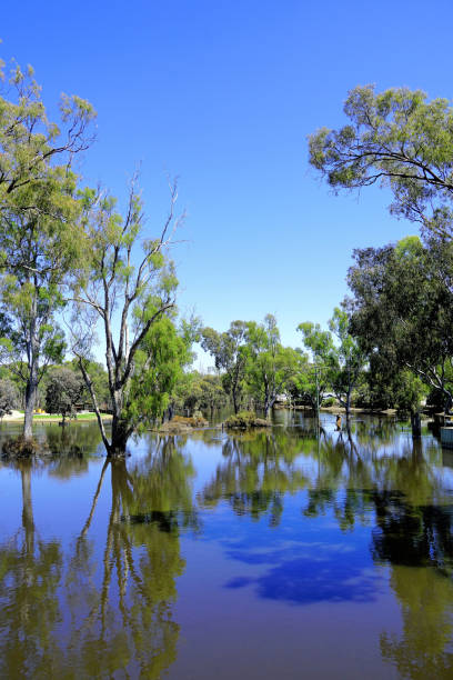 istock Echuca, Northern Country, Victoria, Australia 2187612105