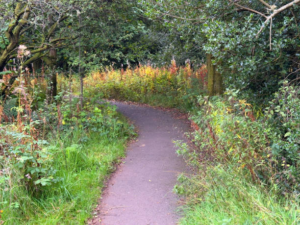 istock Cycle and walk path between Bridge of Weir and Kilmacolm 2187614548