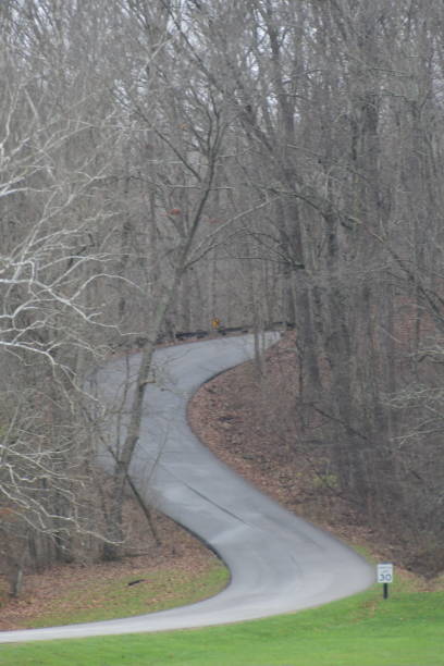 istock Curving Autumn Road. Tour Thru The Forest 2187615758
