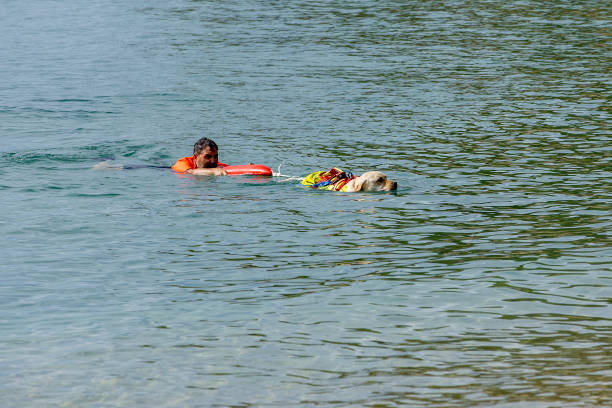 13.09.2024: Italy. Minturno. Training of a rescue dog on the water.