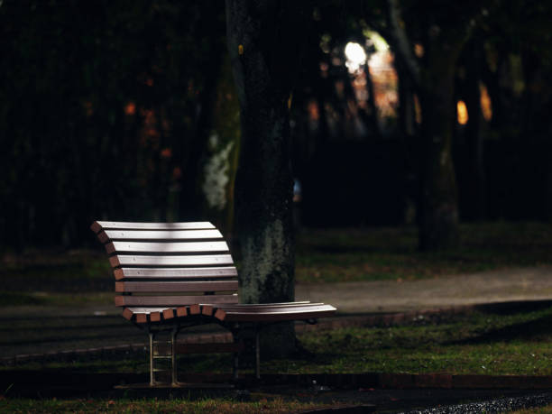 Tokyo, Japan - December 1, 2024: A Bench in a park in Tokyo at midnight