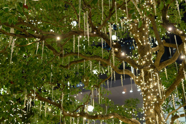 istock Illuminated street trees in the city 2187638825