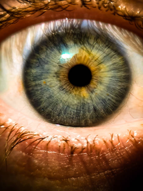 istock Close-up of a grey human eye 2187652663