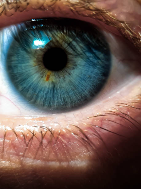 istock Close-up of a blue human eye 2187652666