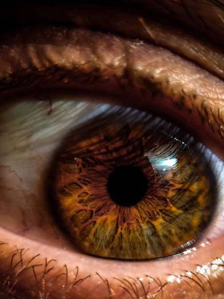 istock Close-up of a brown human eye 2187652667