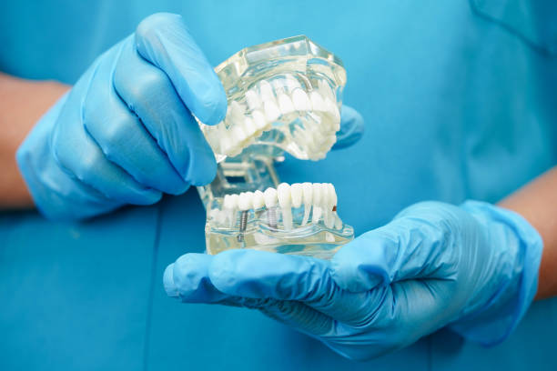 istock Asian dentist holding dental teeth model for learn about dentistry. 2187653124