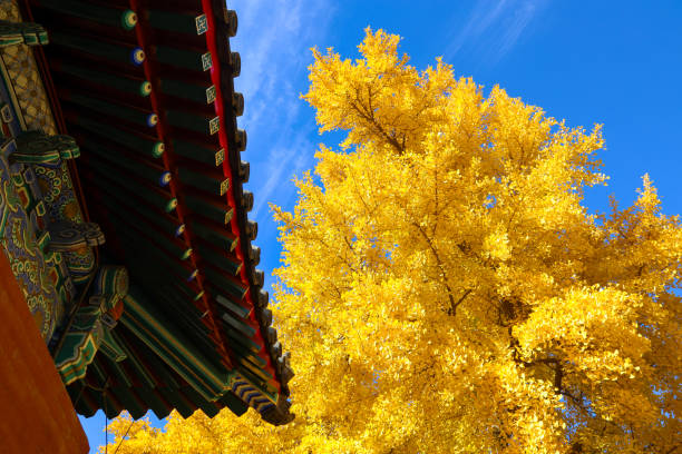istock Cheng'en Temple, Shijingshan, Beijing, China 2187655779