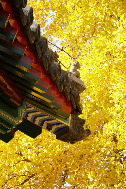 Cheng'en Temple, Shijingshan, Beijing, China