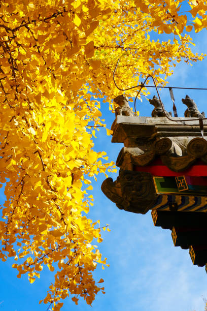 istock Cheng'en Temple, Shijingshan, Beijing, China 2187655881