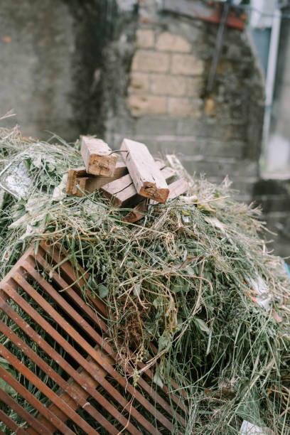 istock A pile of uprooted grass neatly collected in a container, ready for disposal or composting 2187658608