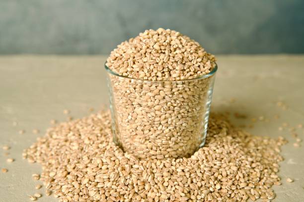 istock Barley grains in a glass jar with grains scattered around 2187659115