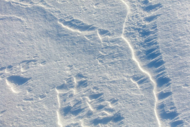 The snow is a bright white color and it covers the ground in a thick layer. The snow is so deep that it almost reaches the ground, creating a beautiful and serene winter landscape