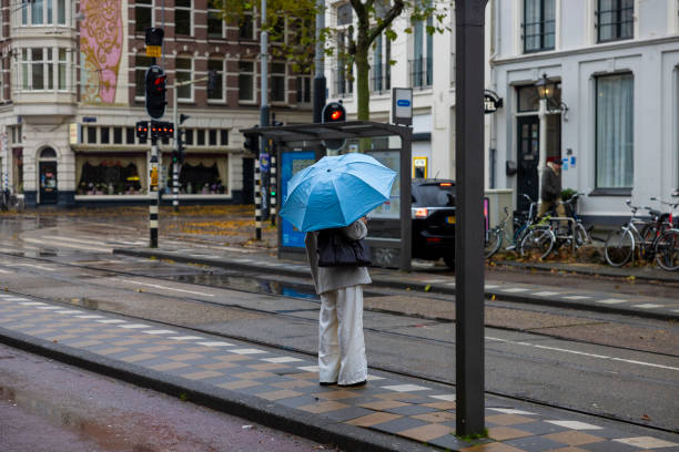 A woman with an umbrella in the rain