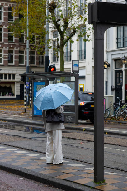 A woman with an umbrella in the rain