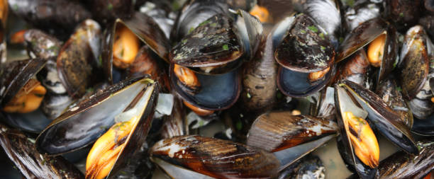 istock Spanish mussels in a marinade 2187661352