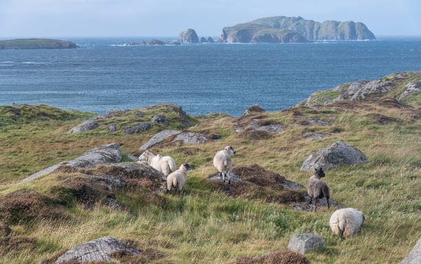 istock Famous Stacks of Garry Beach, Outer Hebrides, Scotland 2187663593