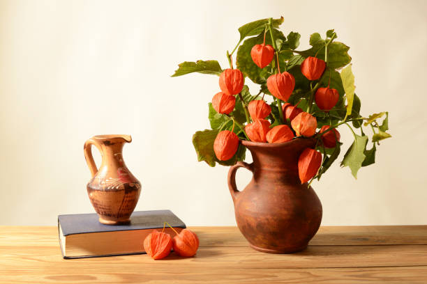 istock Still life, Alkekengi in a ceramic vase, a book and a ceramic jug 2187663689