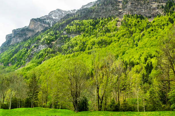 Alpine landscape in the Cirque De Gavernie in the Haute Pyrenees France.