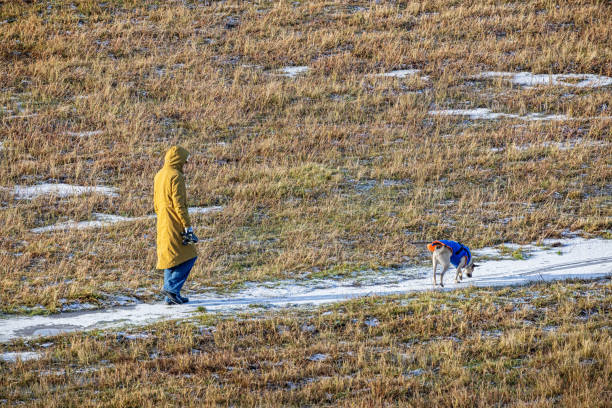 Ørestad, Copenhagen, Denmark - November 23th 2024: The picture is taken at Kalvebod Fælled - Kalvebod Commons, which is a nature area and public park close to the center of Copenhagen. Ørestad is a modern suburb less than 20 minutes from the center of Copenhagen