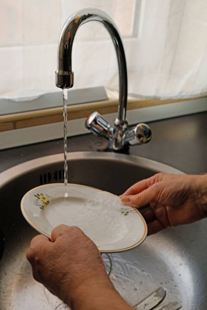 A hand holds a floral plate under a steady stream of running water in a stainless steel sink. The clear water rinses away soap residue, while natural light highlights the clean and inviting kitchen setting.