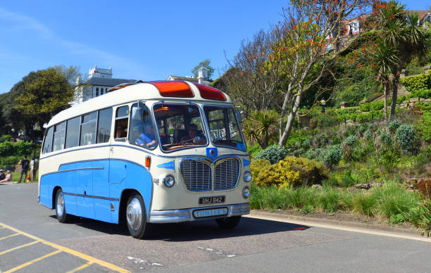 Tourists on tour bus