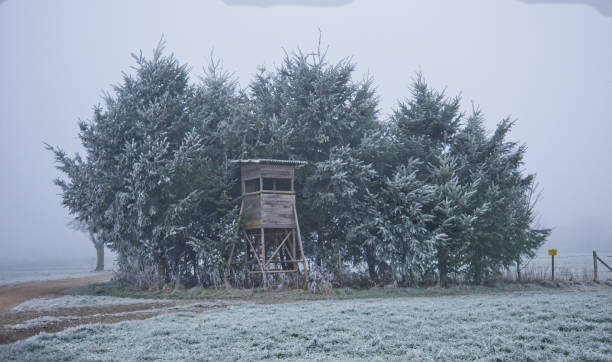 istock Hunting tower in frosty wood 2187677343