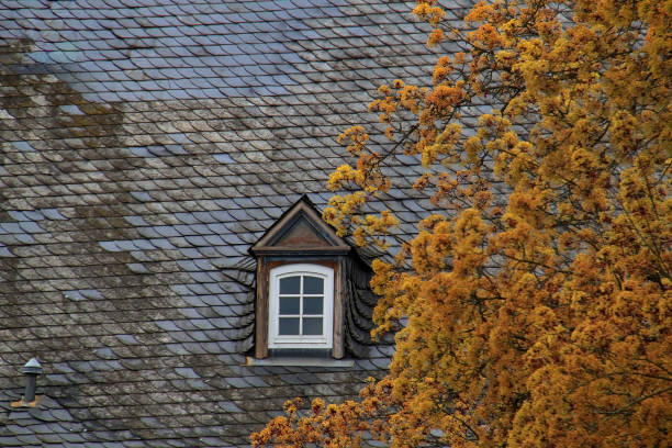 istock Luxembourg Rooftop in Autumn 2187679104