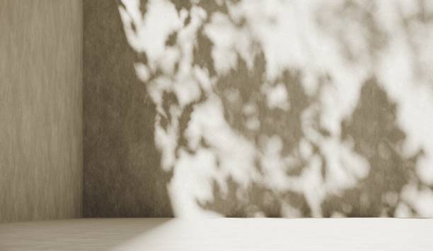 istock 3D rendering of botanical backdrop with soft shadows and pastel light for a premium product showcase. Minimalist wallpaper with sunlight. 2187679865