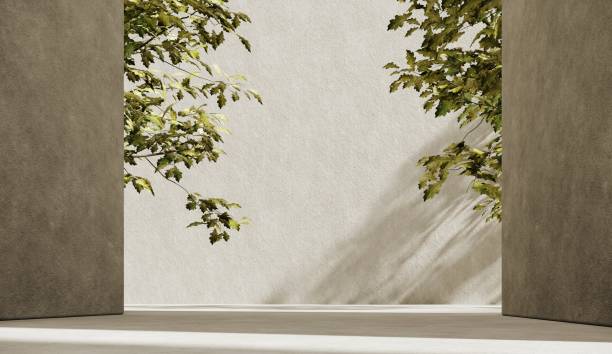 istock 3D rendering of botanical backdrop with soft shadows and pastel light for a premium product showcase. Minimalist wallpaper with sunlight. 2187679866