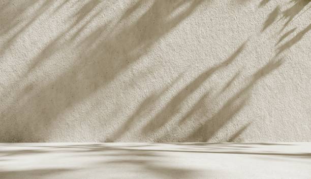 istock 3D rendering of botanical backdrop with soft shadows and pastel light for a premium product showcase. Minimalist wallpaper with sunlight. 2187679901