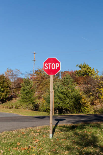 istock A stop sign is standing in a field with trees in the background 2187681847