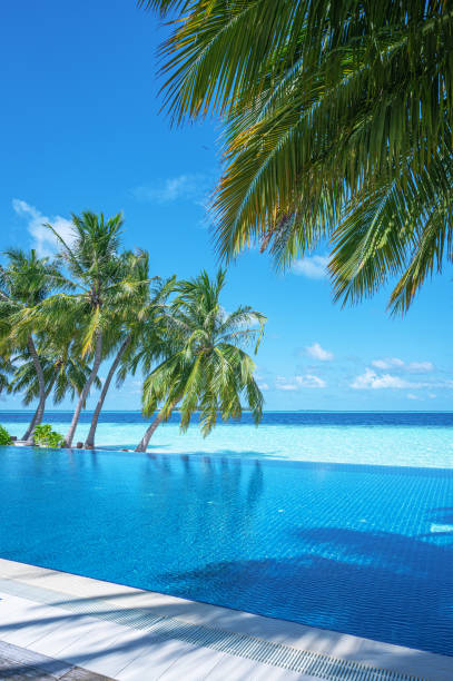 istock Infinity swimming pool with sea view on tropical island resort 2187688248