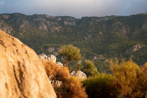 Overgrown Mountains close-up in Mugla Province, Turkiye