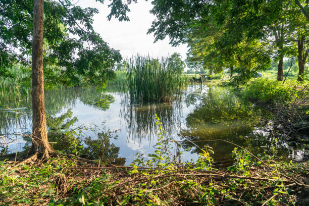a lake with a fishing post