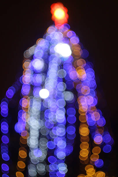 christmas tree with green and white lights in the background.