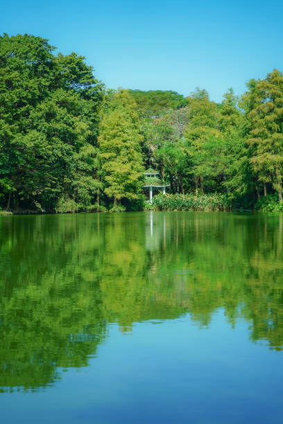istock Whispers of Emerald Serenity 04 2187698287