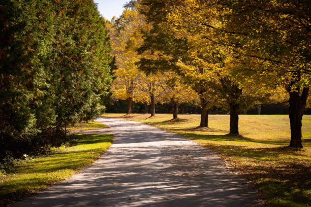 istock Autumn in New England 2187699546