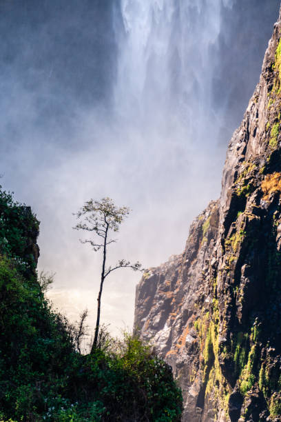 istock Close-up of the Victoria Falls 2187700910