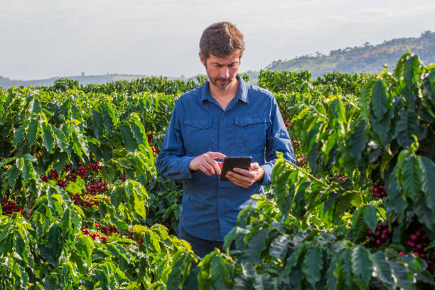 istock Farmer in coffee plantation. 2187703803